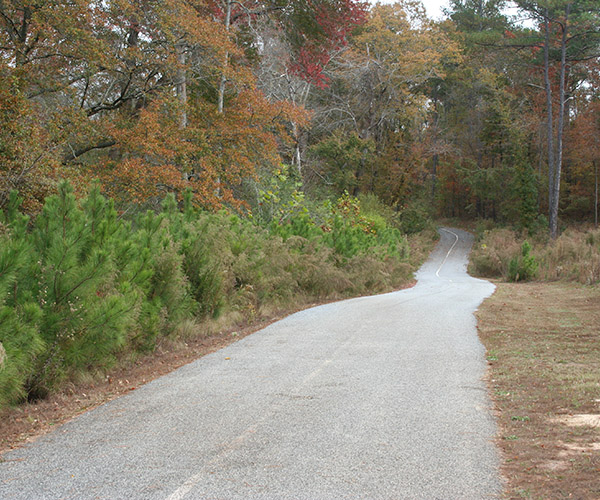 Freeman's Mill Park Rental Venue
