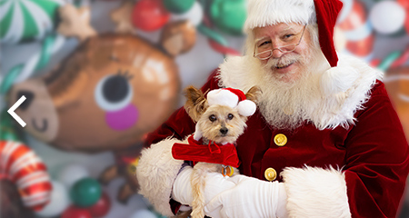 SantaPaws Holiday Market<br>Saturday, December 21<br>11:00am – 3:00pm