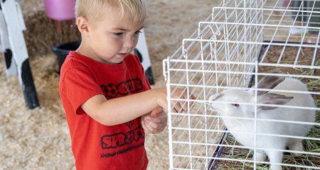 Visit Farms Friends at Gwinnett County Fairgrounds!