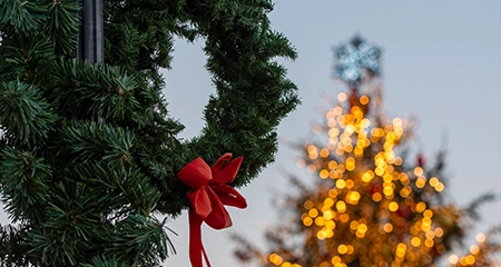 Experience holiday magic at the annual Lighting of the Tree!