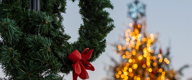 Experience holiday magic at the annual Lighting of the Tree!